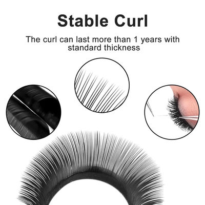 YY Lash Genişlemeleri CC/D/DD Curl 0.10mm Kalınlık Hacim Genişlemesi 8-14mm Uzun Sürekli Mat Siyah Sahte Lashlar