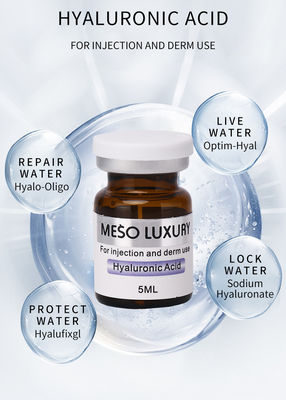 Private Label Nemlendirici Hyaluronik Asit Serum Enjeksiyonları Daha Genç Yüz İçin Lüks Mezoterapi Enjeksiyonları
