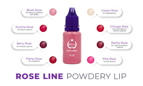 Biotouch Mikro Pigment Gül Pigment Renk Kalıcı Makyaj Microblading Malzemeleri Kaş Gölgeleme MikrGel polishgmentasyon