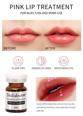 Toptan Stalidearm Orijinal Marka Pembe Dudak Tedavisi Enjeksiyon Serum Güvenli Essence Meso Terapi Seti 5 adet/takım